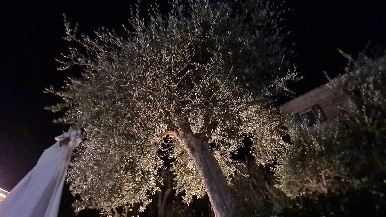 Photo of Patio Balcony in Cetona