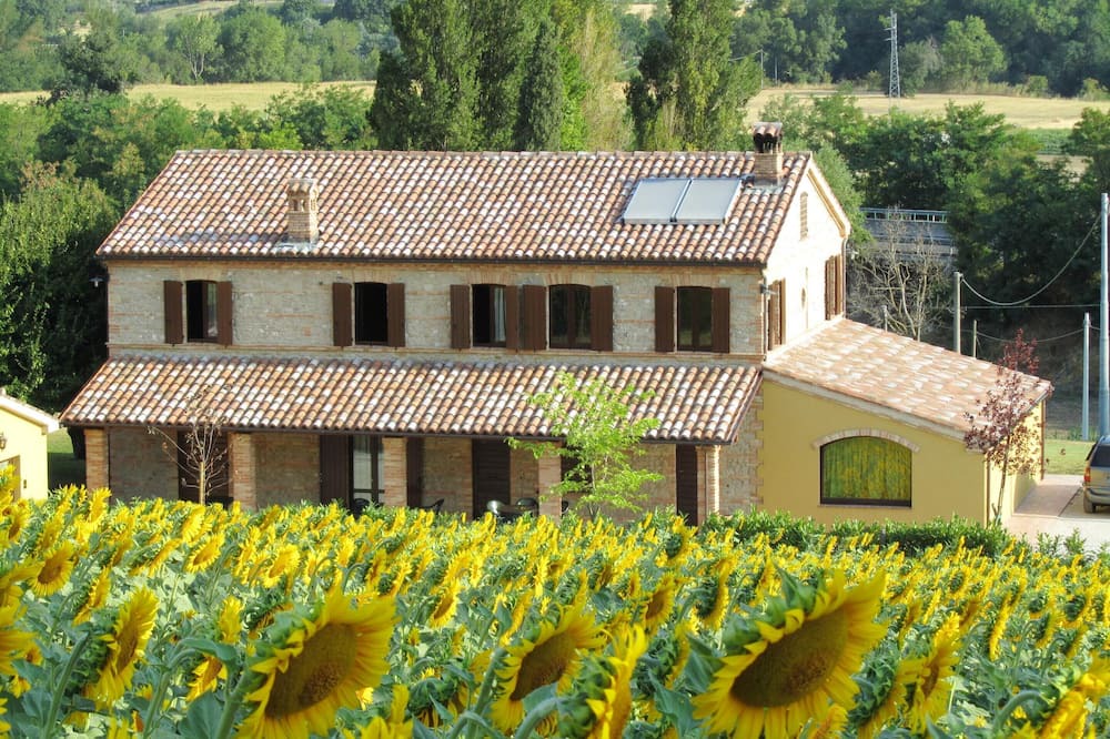 Photo of Others in Castelbellino