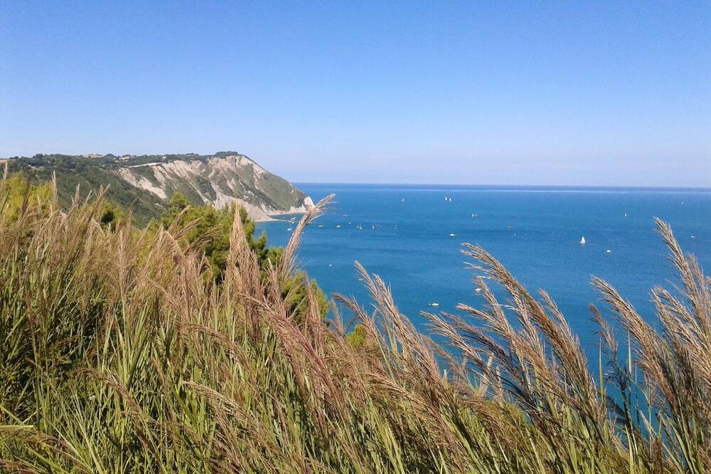 Photo of Others in Castelbellino