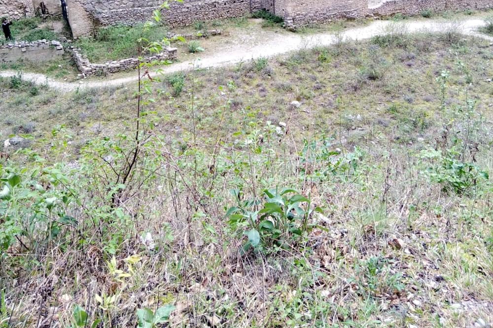 Photo of Others in Orsogna