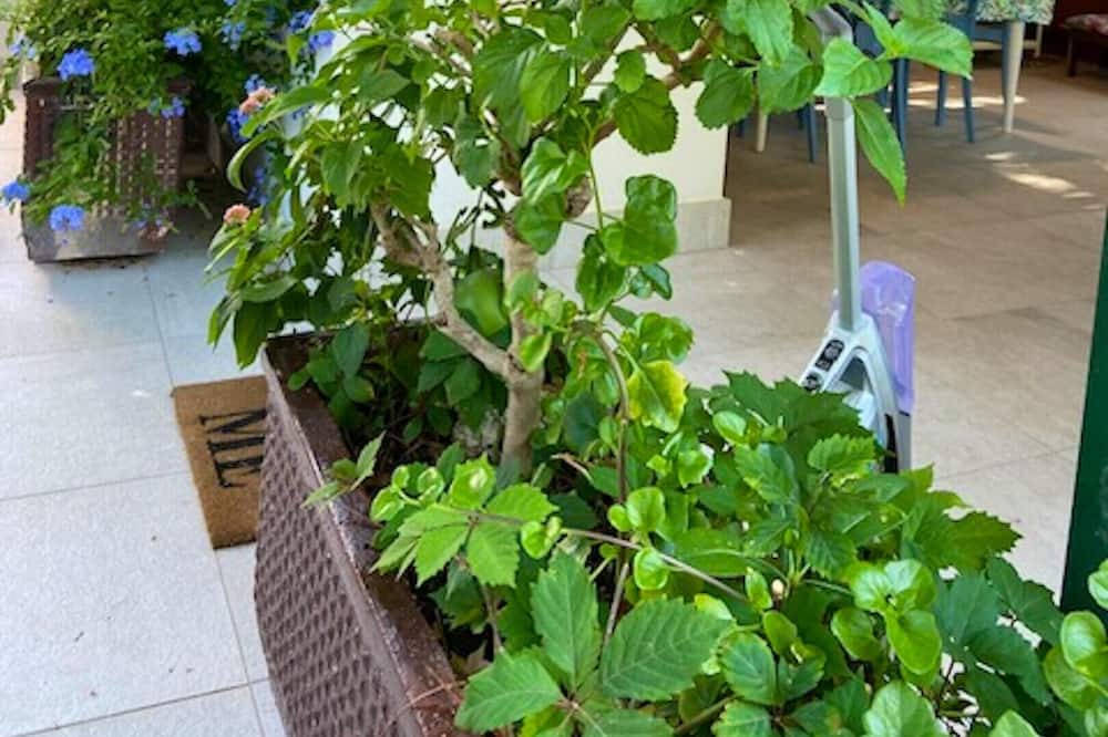 Photo of Outdoor in Marina Di Camerota