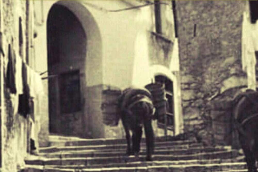 Photo of Others in Arce