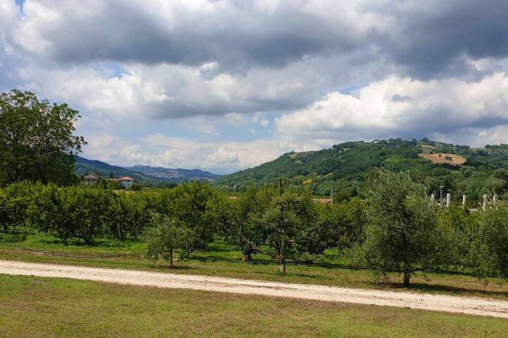 Photo of Others in Montalto delle Marche