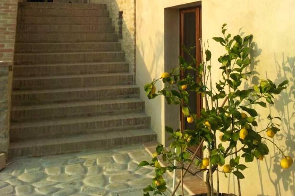 Photo of Others in Montalto delle Marche