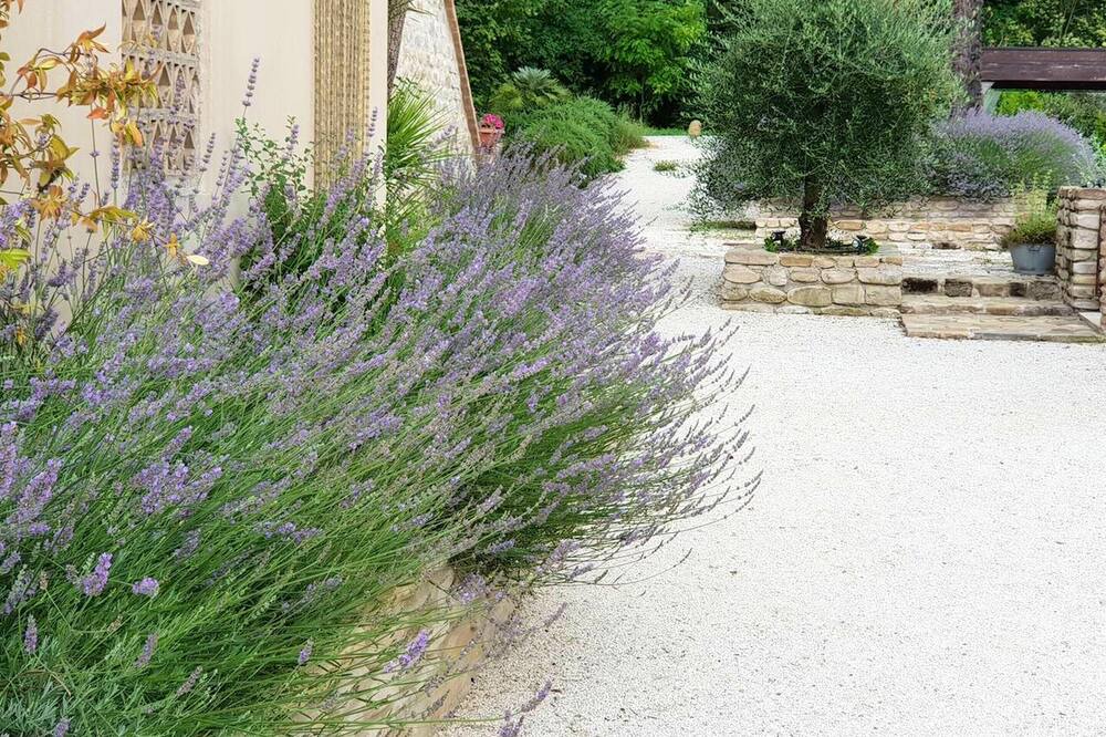 Photo of Outdoor in Montalto delle Marche
