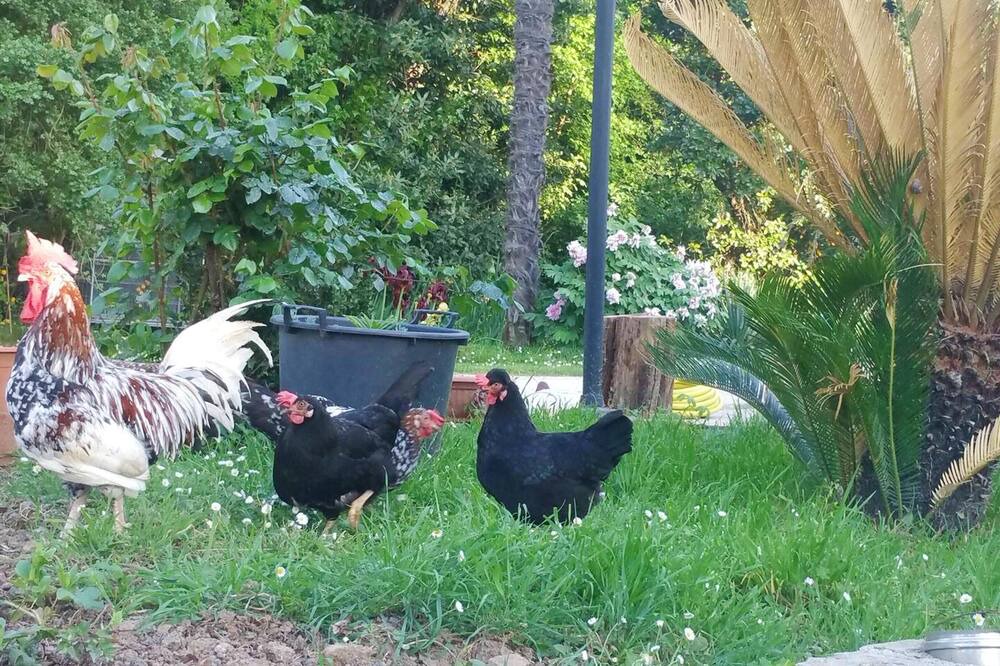 Photo of Others in Montalto delle Marche