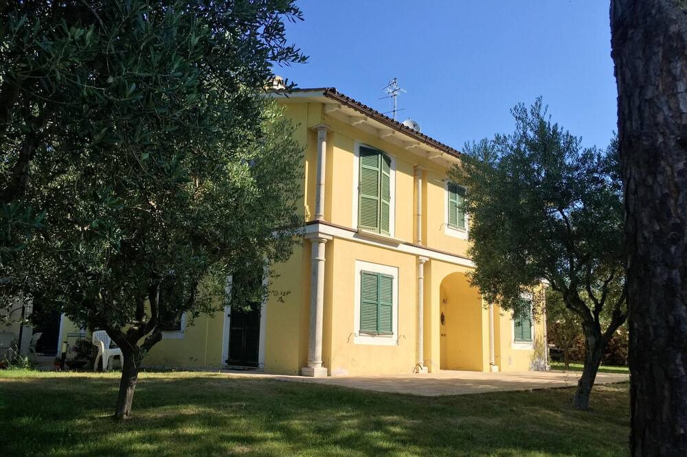 Photo of Outdoor in Mogliano