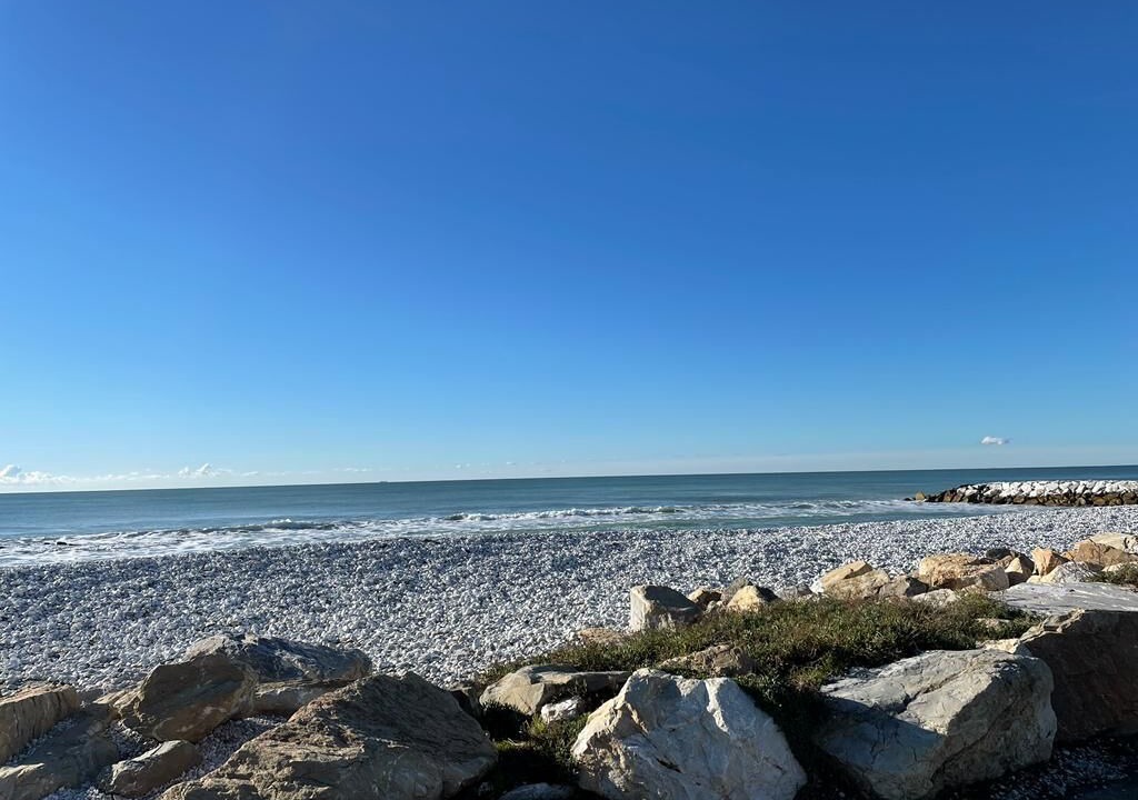 Photo of Others in Marina di Pisa