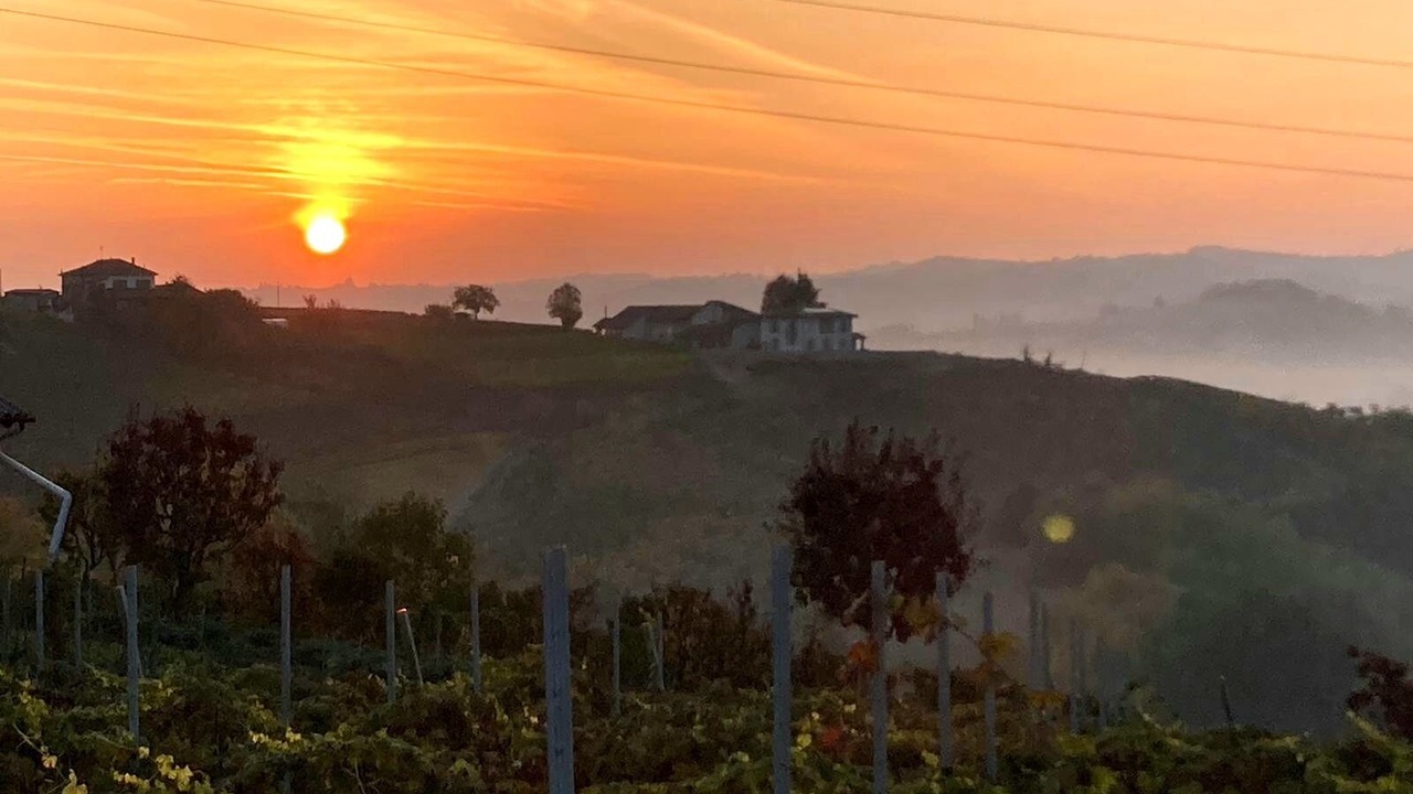 Photo of Outdoor in Nizza Monferrato