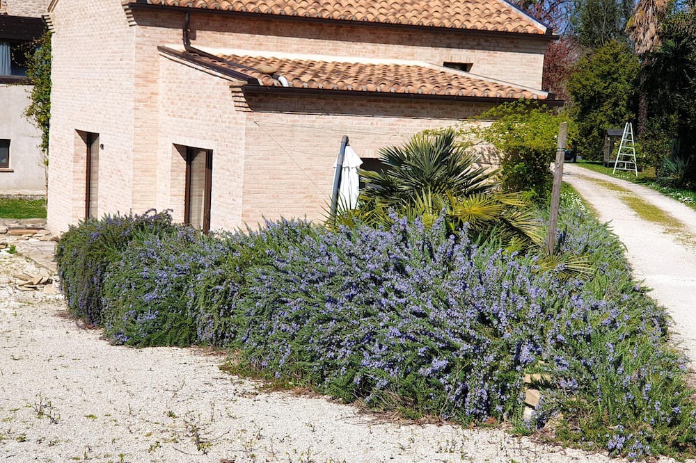 Photo of Outdoor in Montalto delle Marche