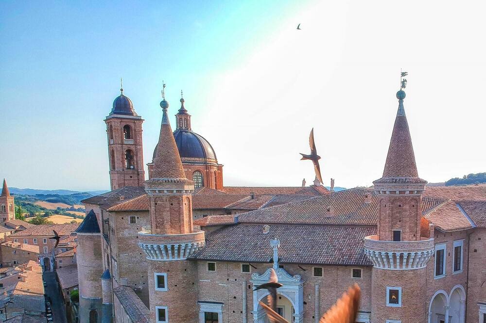 Photo of Others in Urbino