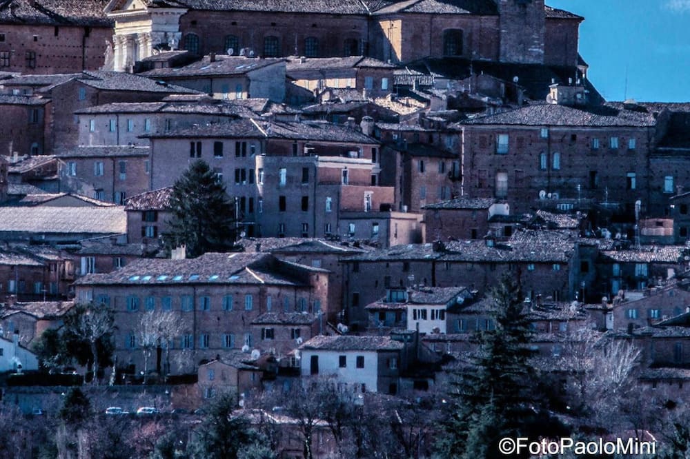 Photo of Others in Urbino