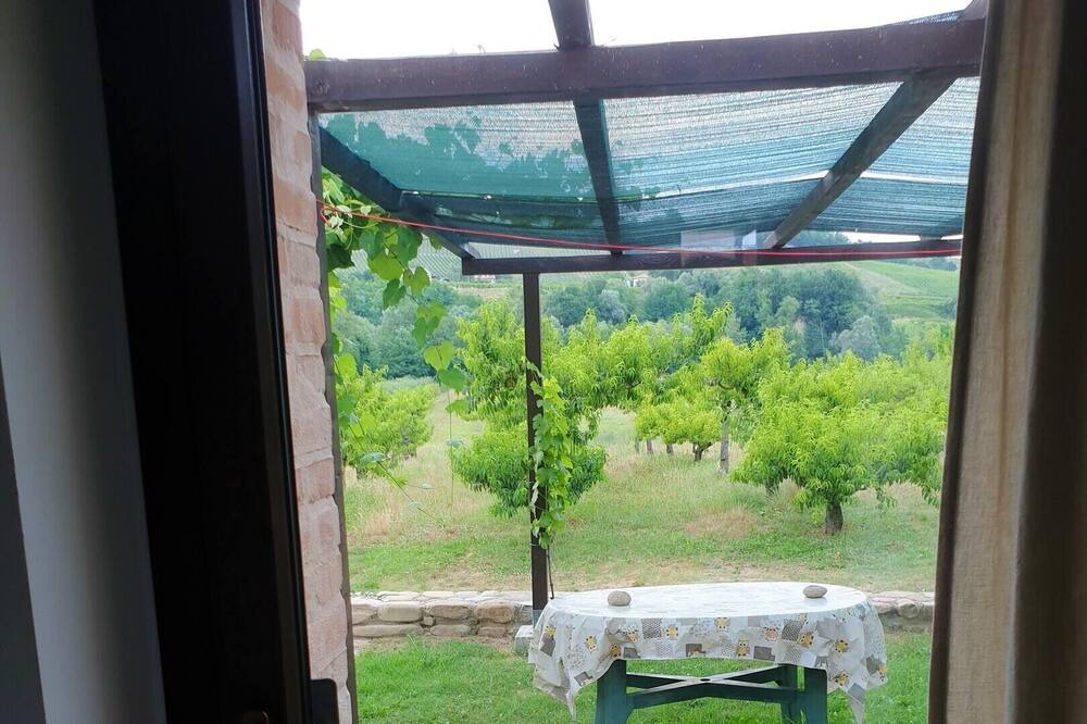 Photo of Others in Montalto delle Marche