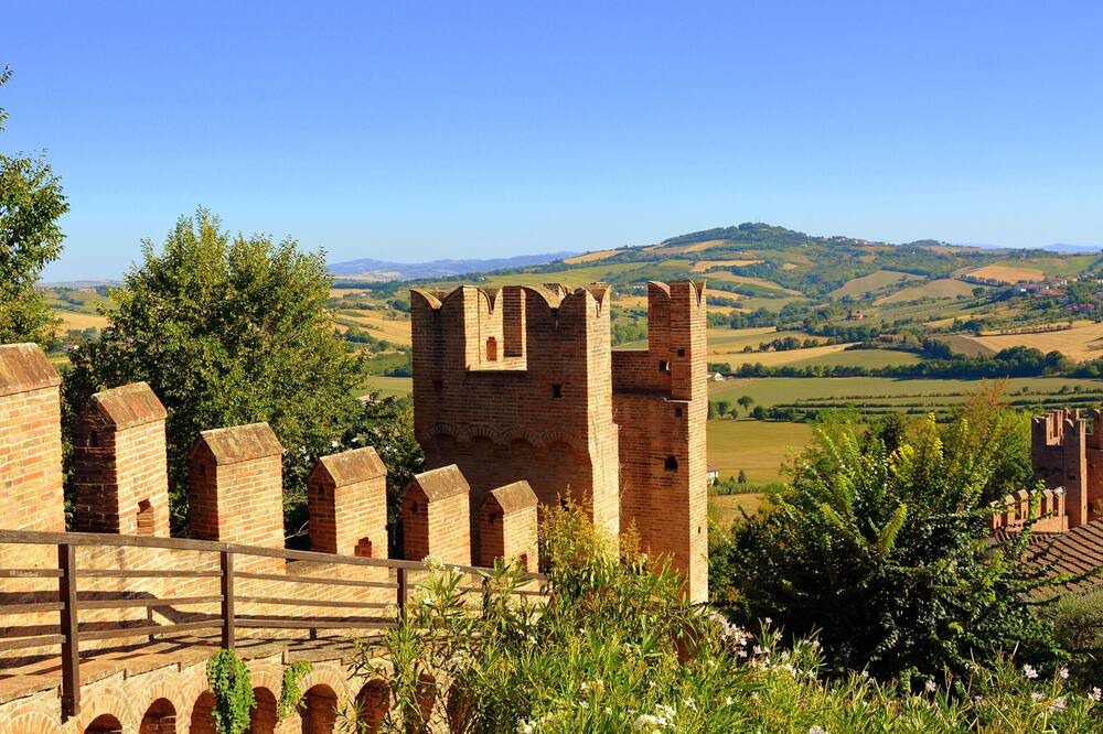 Photo of Others in Urbino