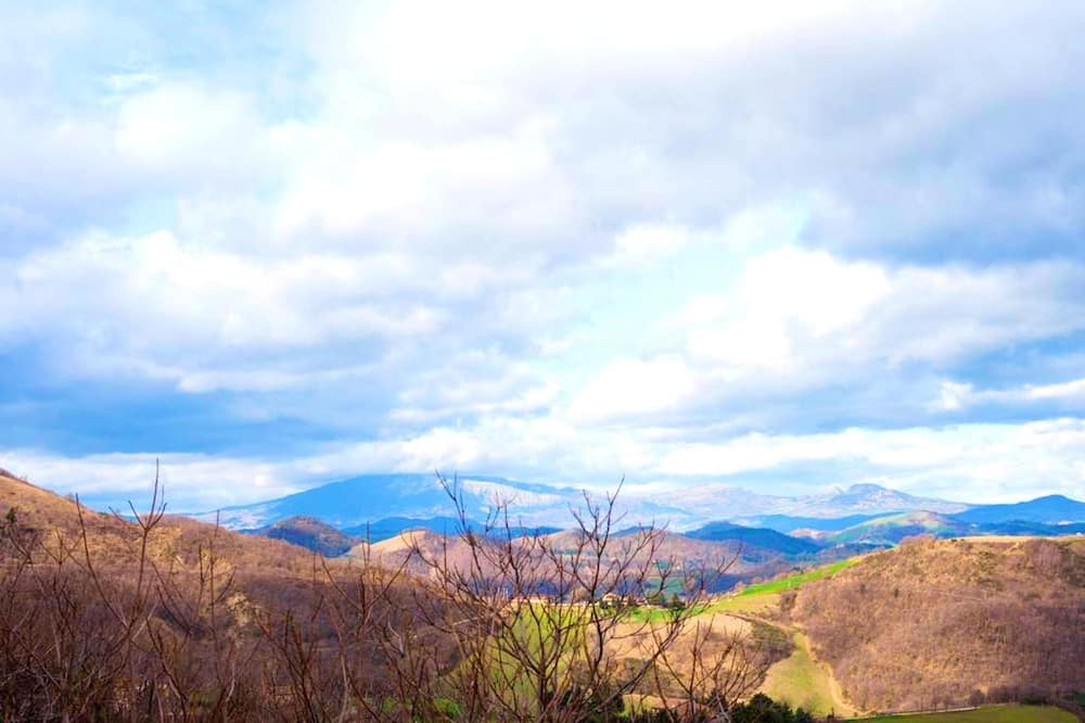 Photo of Others in Urbino