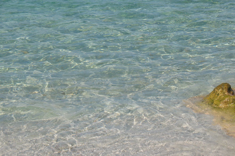 Photo of Others in Norbello