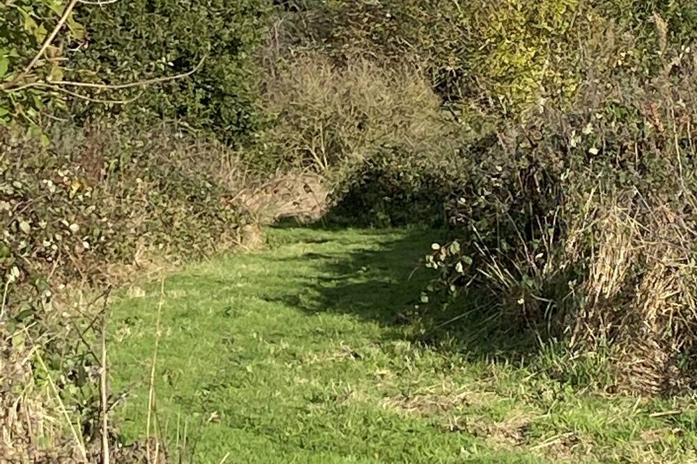 Photo of Outdoor in Upper Brailes