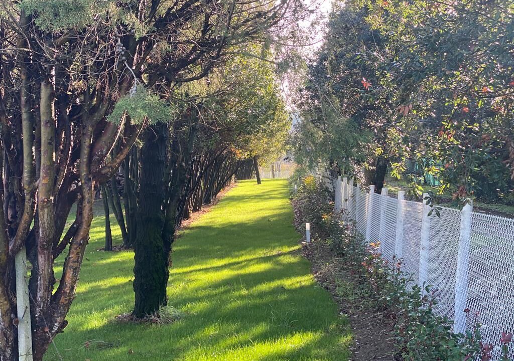Photo of Outdoor in Falciano