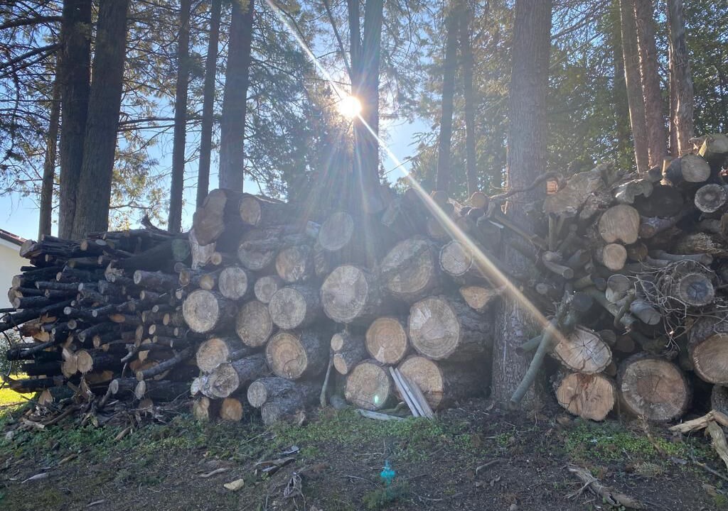 Photo of Outdoor in Falciano