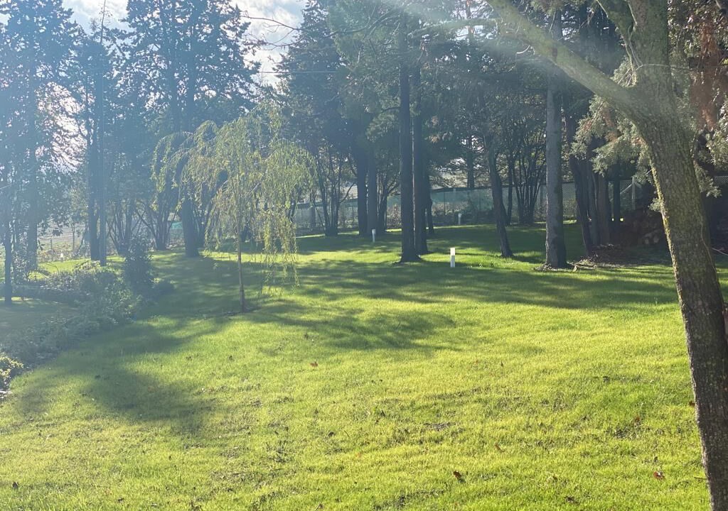 Photo of Outdoor in Falciano