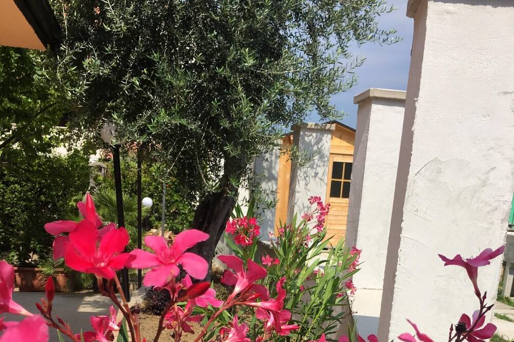Photo of Outdoor in Chieti