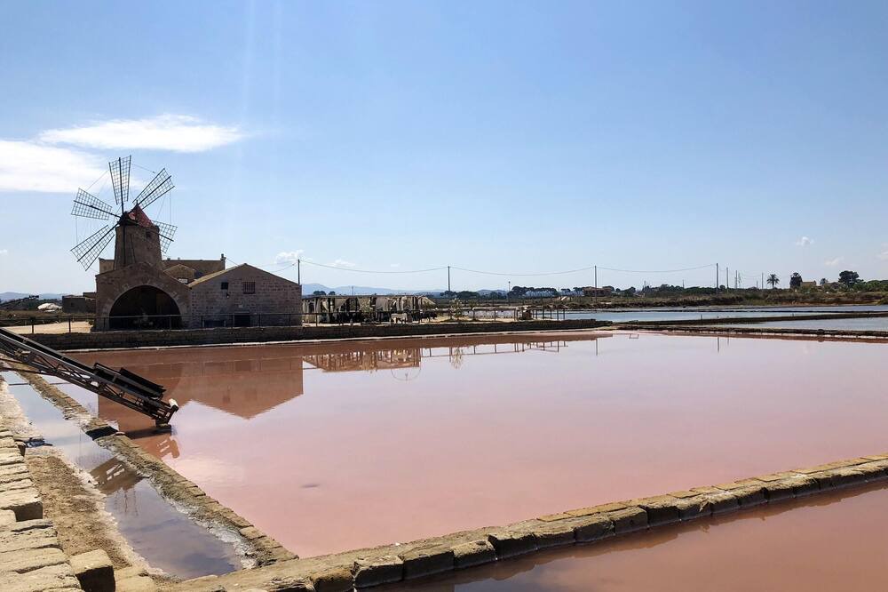 Photo of Others in Marsala