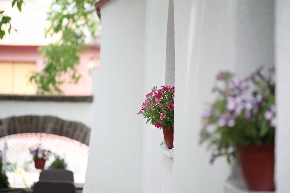 Photo of Outdoor in Leon