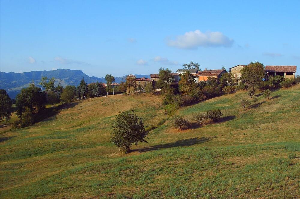 Photo of Outdoor in Toano