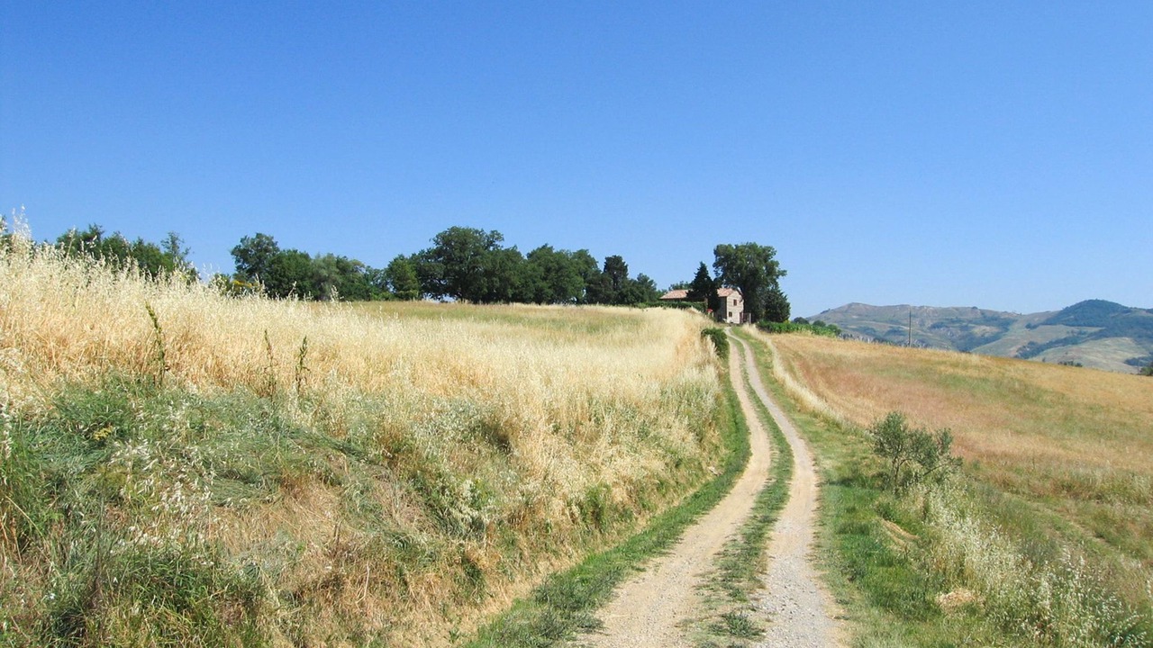 Photo of Others in Il Poggio