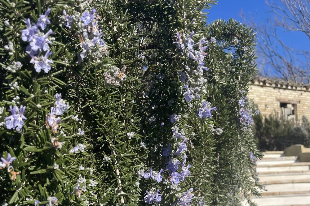 Photo of Outdoor in Monte Giberto