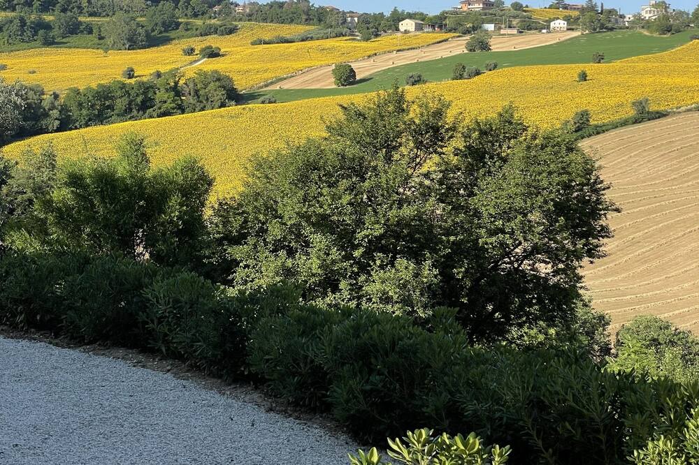 Photo of Outdoor in Monte Giberto