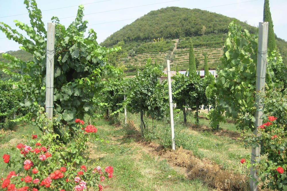 Photo of Others in Monticelli Brusati