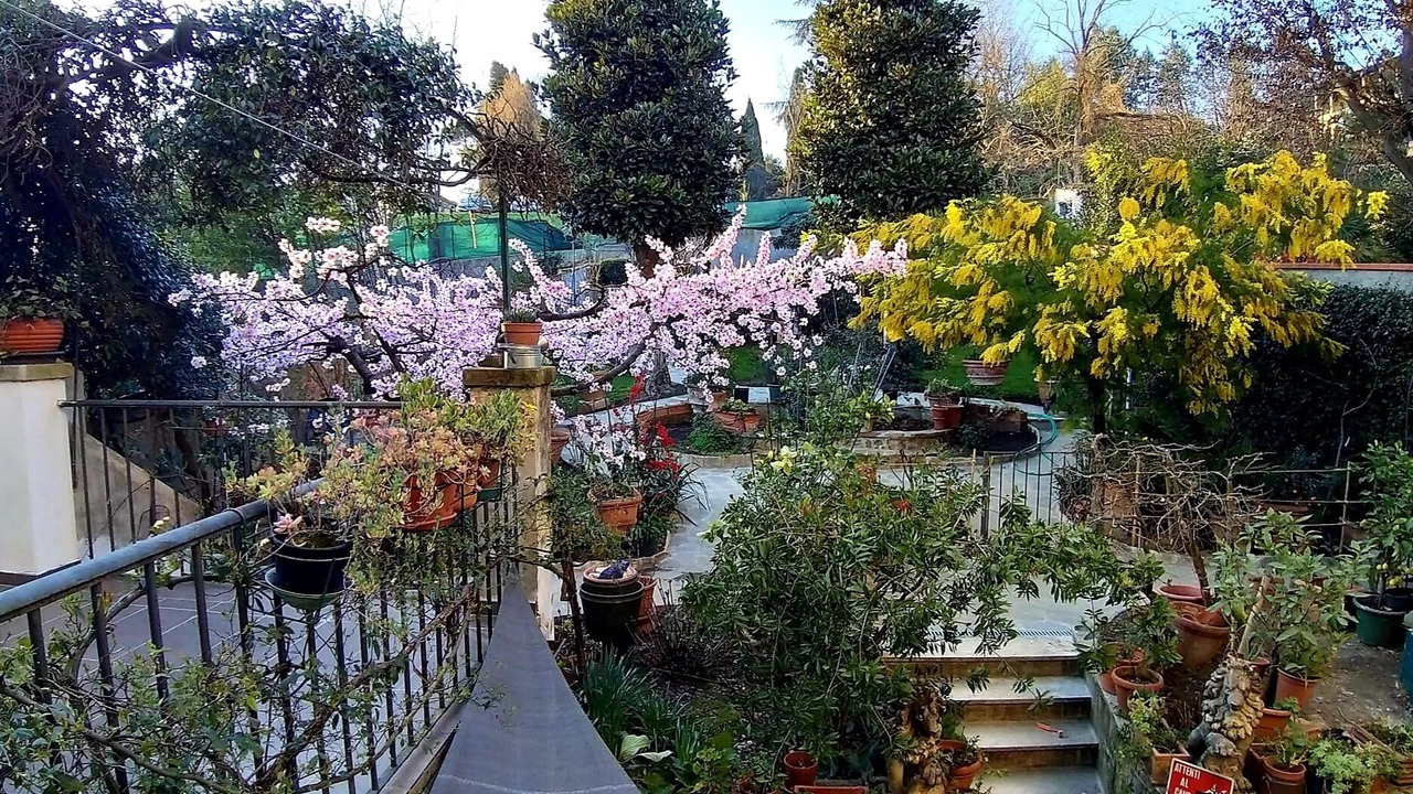 Photo of Outdoor in Le Cure