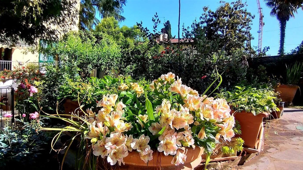 Photo of Outdoor in Le Cure