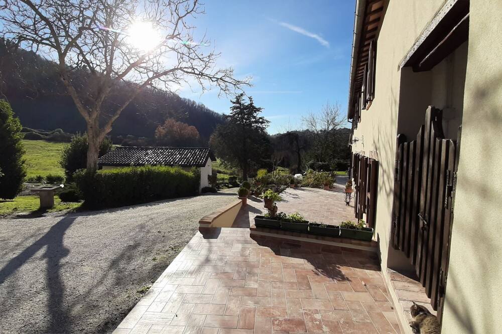 Photo of Others in Urbino