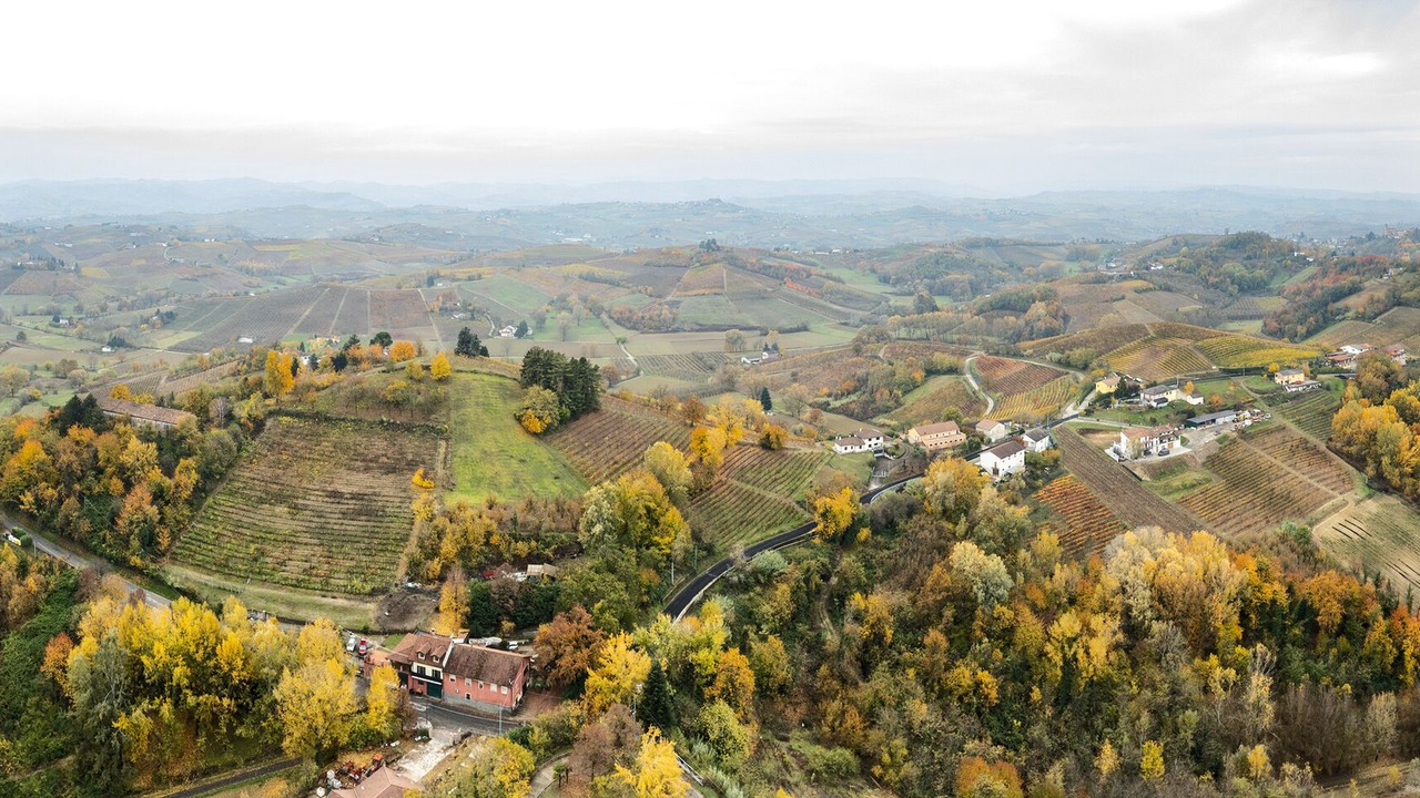Photo of Others in Vinchio