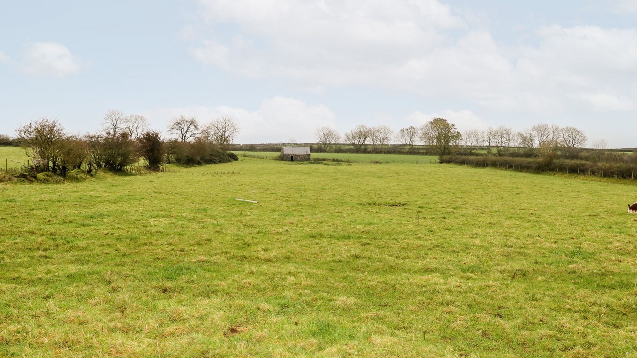 Photo of Others in Bushmills