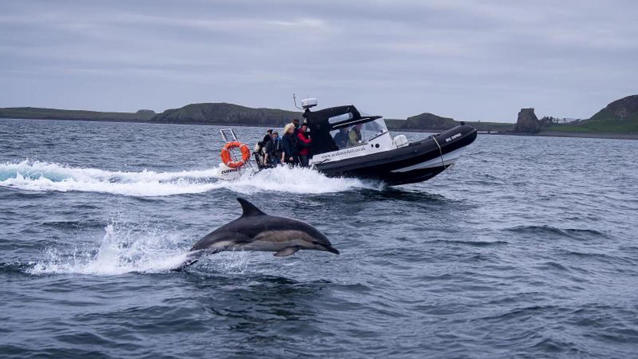 Photo of Others in Salen