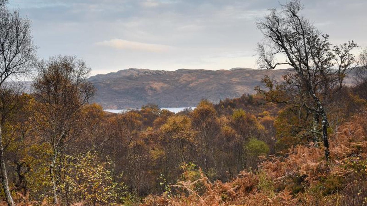 Photo of Others in Salen