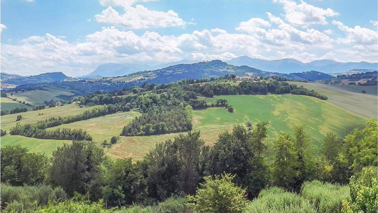 Photo of Others in Falerone