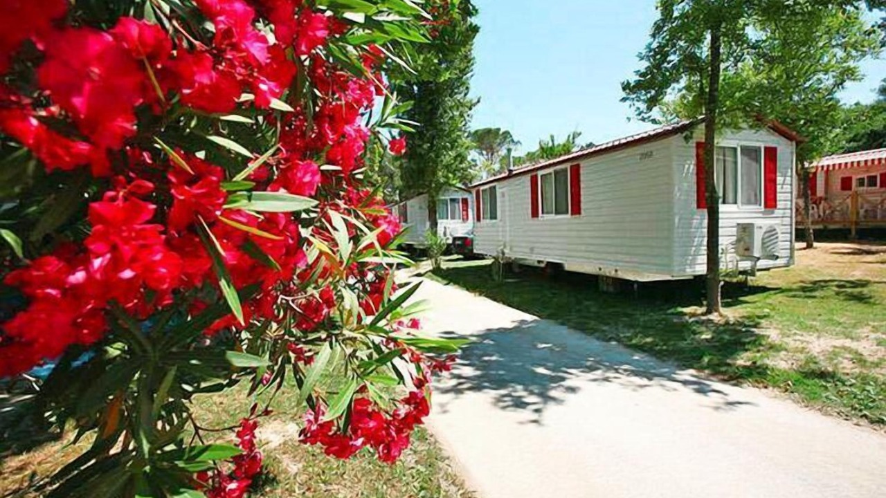 Photo of Outdoor in Duna Verde