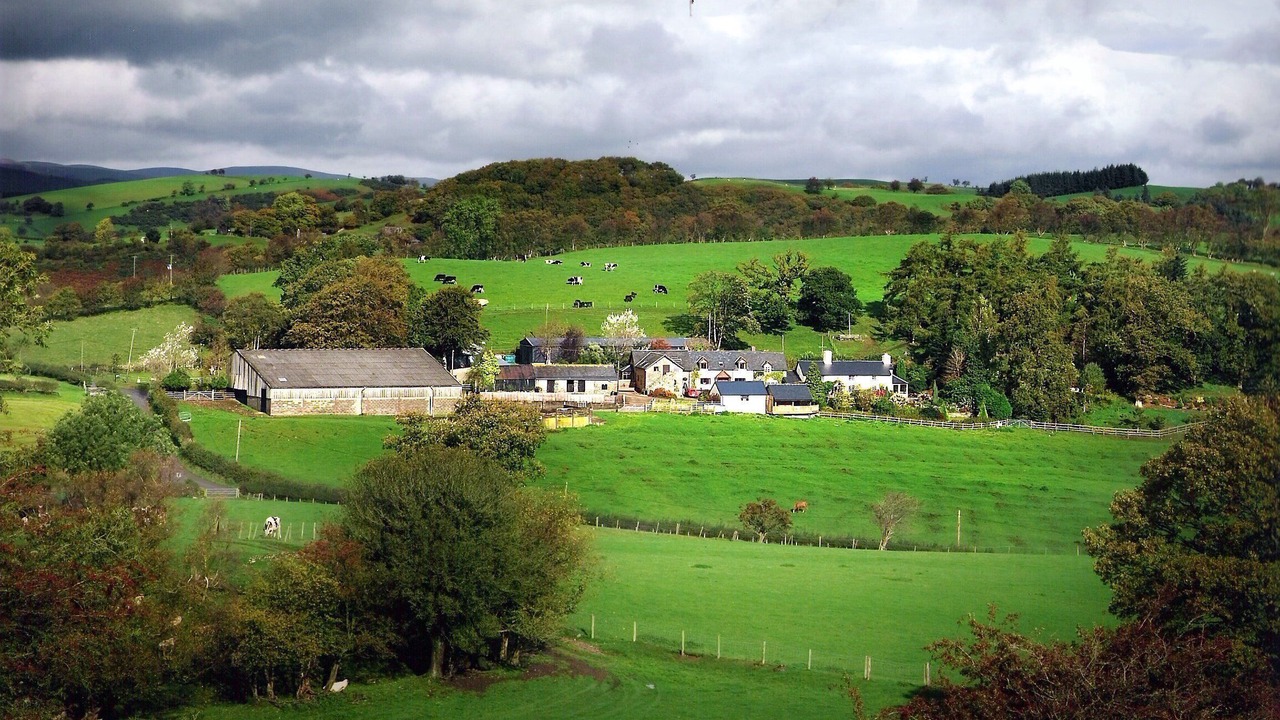 Photo of Others in Llanfyllin