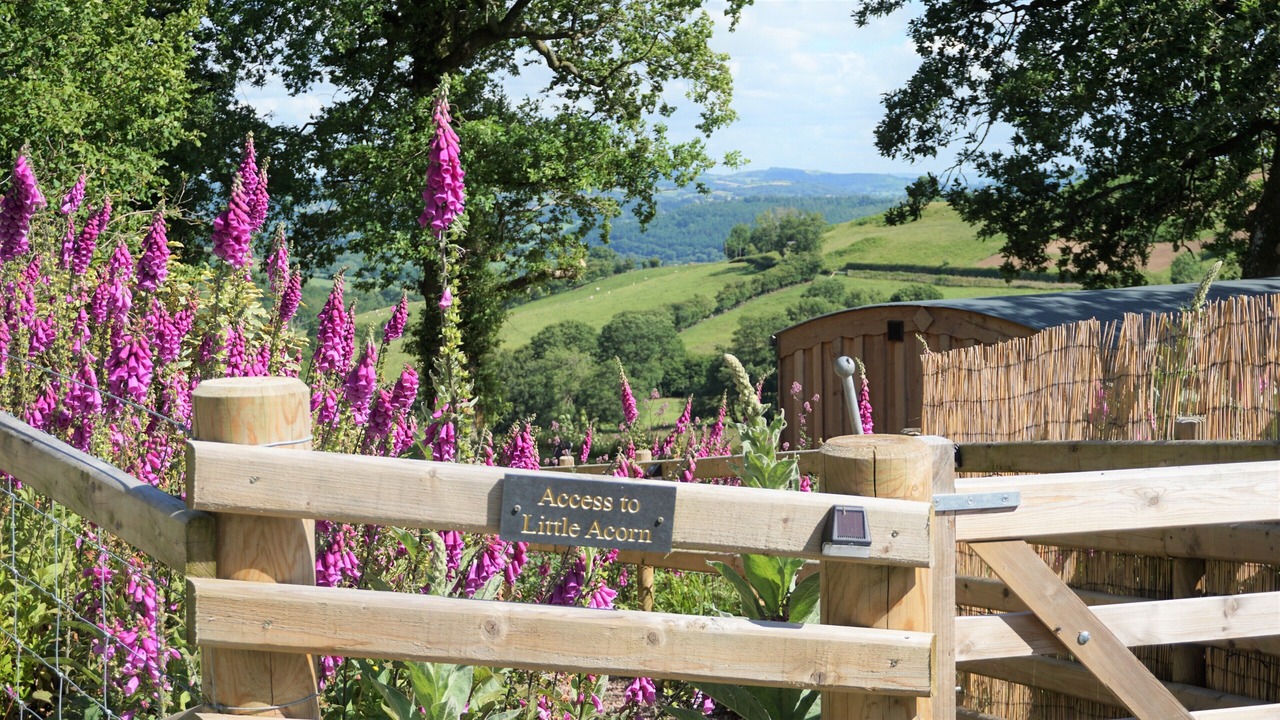 Photo of Outdoor in Llanfyllin