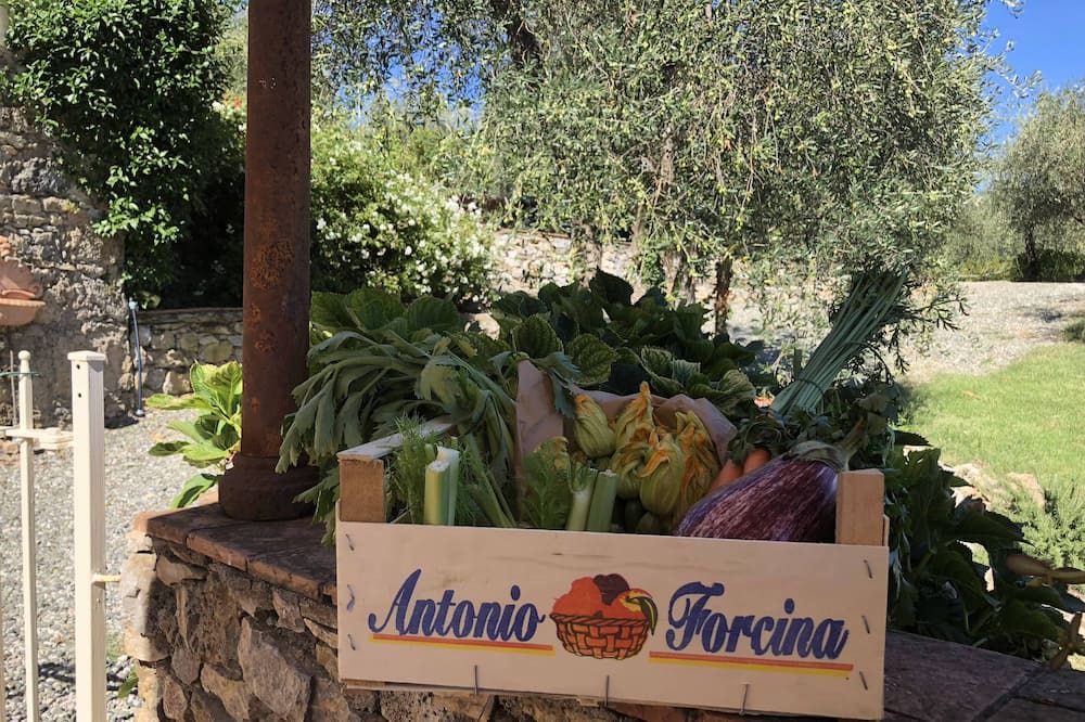 Photo of Outdoor in La Foce