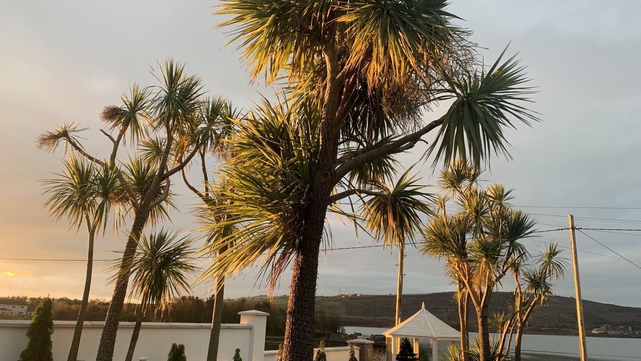 Photo of Others in Islandmagee