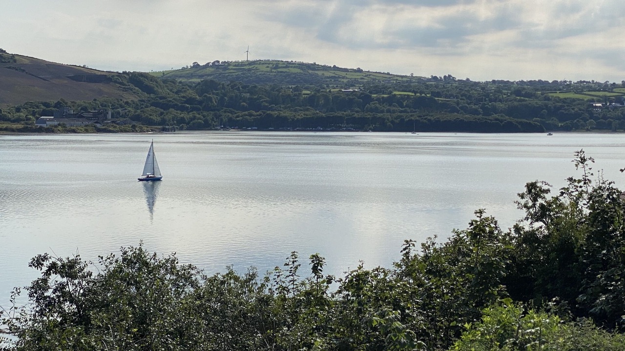 Photo of Others in Islandmagee