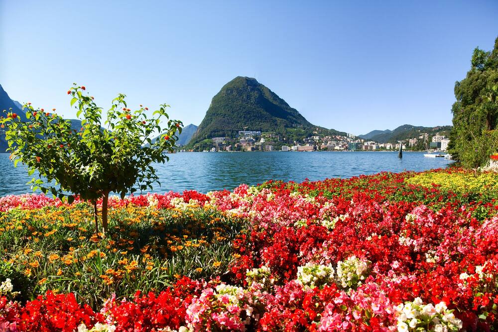 Photo of Outdoor in Croglio