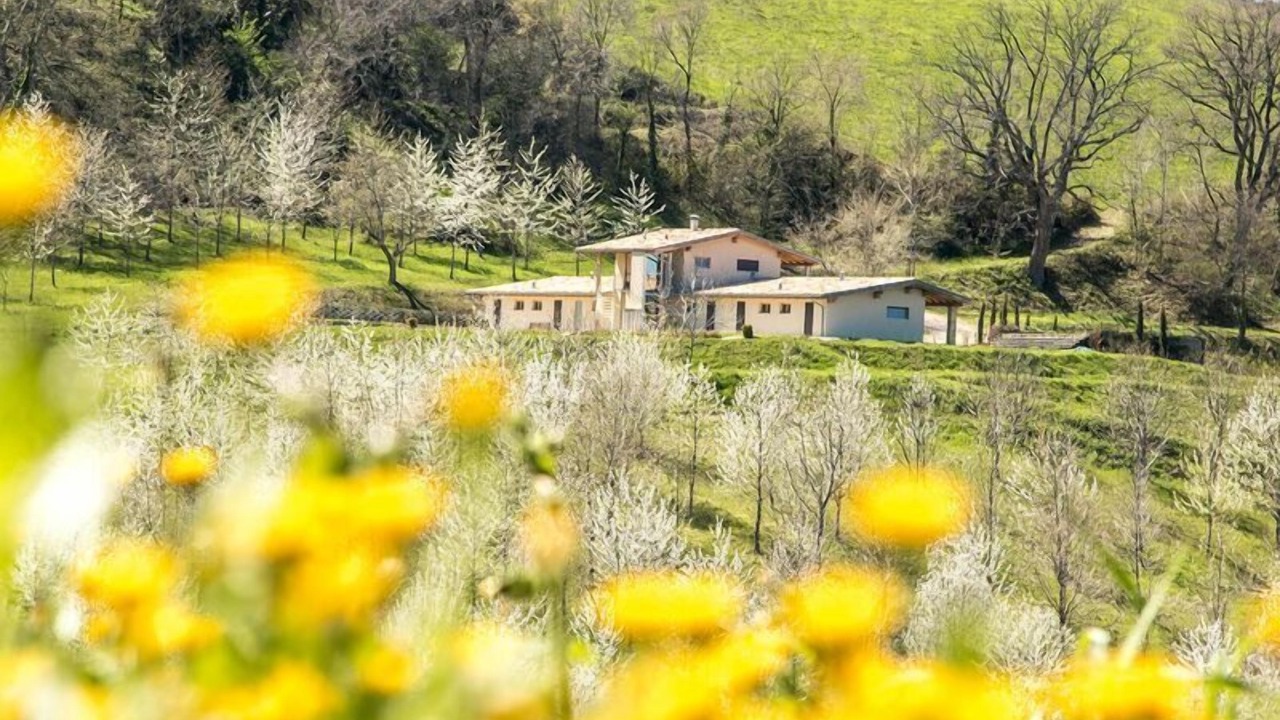 Photo of Outdoor in Falerone