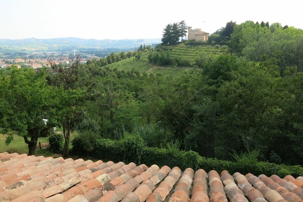 Photo of Others in Nizza Monferrato