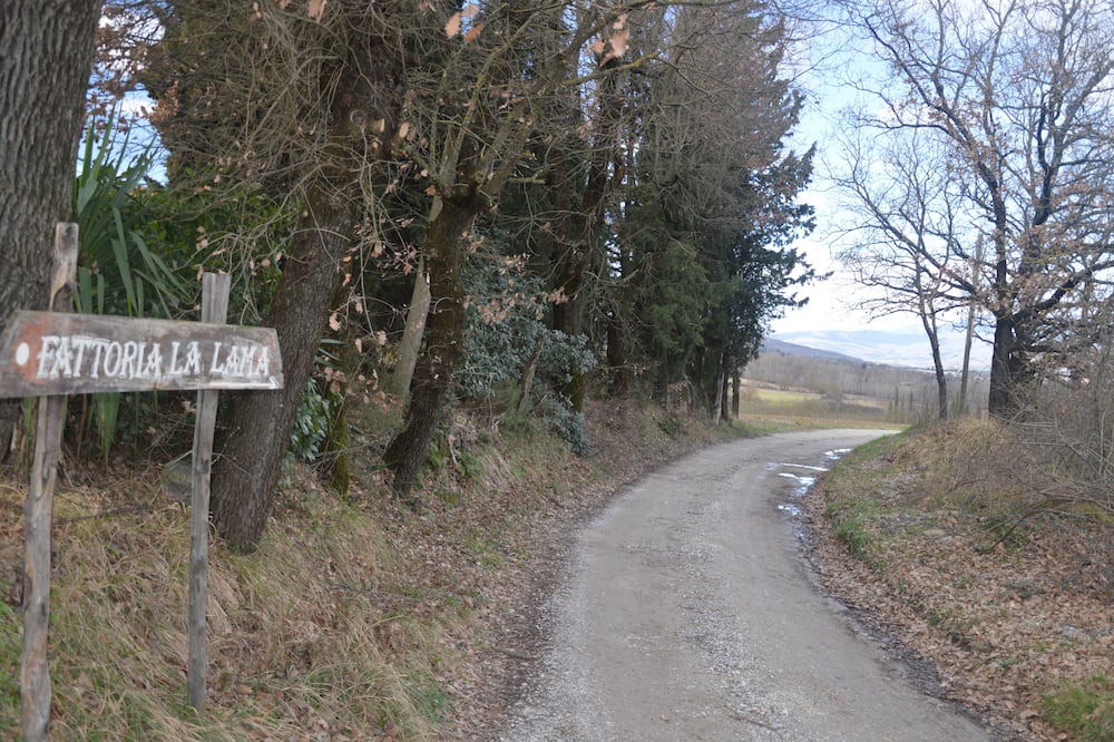 Photo of Outdoor in Ponte Buriano